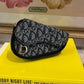 CD Dior Vintage Trotter Saddle Pouch Custom one-of-a-kind Bum Bag/Crossbody/Fanny Pack 1928B